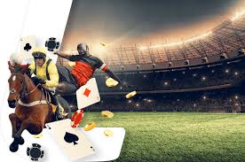 Discover the Best Online Sportsbooks with No Fees 16