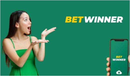 Exploring BetWinner Casino Your Guide to Online Gaming
